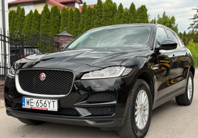 jaguar