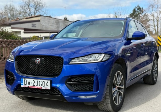 jaguar