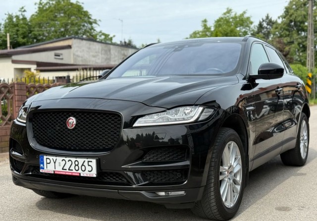 jaguar